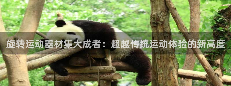 fb体育官方客服电话:旋转运动器材集大成者:超越传统运动体验